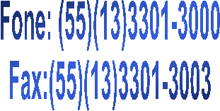 Fone: (55)(13)3301-3000
Fax:(55)(13)3301-3003